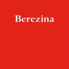 tesson berezina
